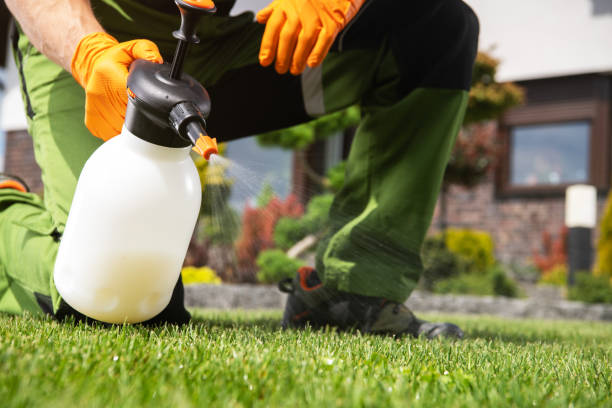 Best Affordable Pest Control Services  in Chesterfield, MO