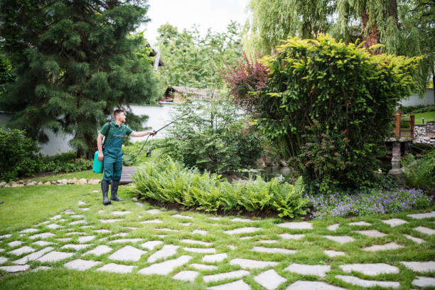Professional Pest Control in Chesterfield, MO