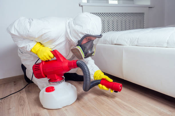 Best Pest Removal Services  in Chesterfield, MO