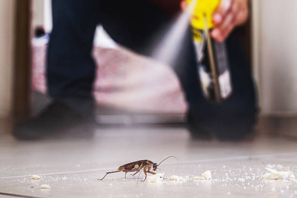 Best Best Pest Control Companies  in Chesterfield, MO